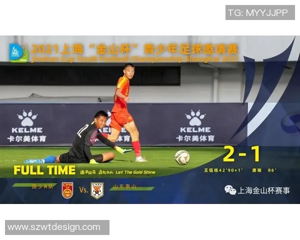 中国足球青训体系建设与发展趋势综合研究报告 中国足球青训体系建设与发展趋势综合研究报告