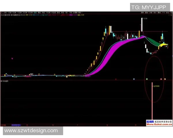 【深度解析】全明星近况+未来走势预测